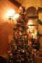 gal/Disneyland_Resort_Paris/noel07/Sapins/_thb_IMG_2057.JPG