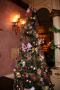 gal/Disneyland_Resort_Paris/noel07/Sapins/_thb_IMG_2058.JPG