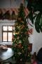 gal/Disneyland_Resort_Paris/noel07/Sapins/_thb_IMG_2290.JPG