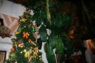 gal/Disneyland_Resort_Paris/noel07/Sapins/_thb_IMG_2293.JPG