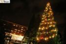 gal/Disneyland_Resort_Paris/noel07/Sapins/_thb_sapinstour08.jpg