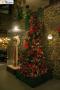 gal/Disneyland_Resort_Paris/noel07/Sapins/_thb_sapinstour09.jpg