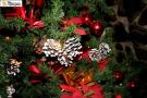 gal/Disneyland_Resort_Paris/noel07/Sapins/_thb_sapinstour10.jpg