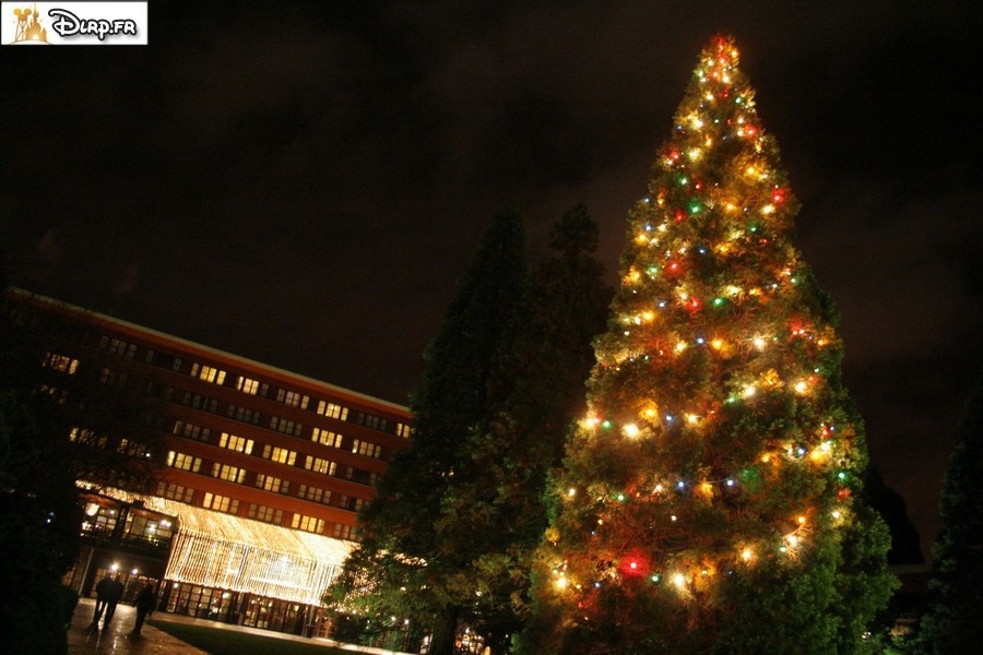 gal/Disneyland_Resort_Paris/noel07/Sapins/sapinstour08.jpg