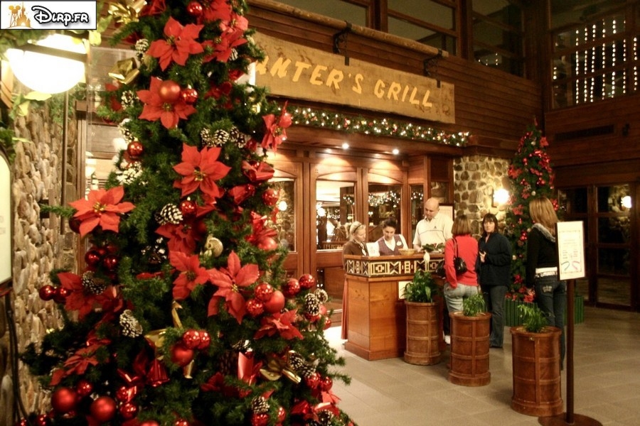 gal/Disneyland_Resort_Paris/noel07/Sapins/sapinstour13.jpg