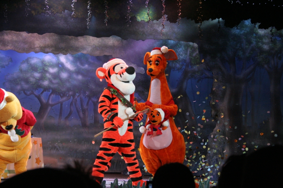 gal/Disneyland_Resort_Paris/noel07/Winnie/IMG_2387.JPG