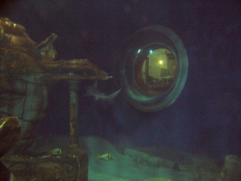 gal/Disneyland_Resort_Paris/sealife/101_0028.JPG