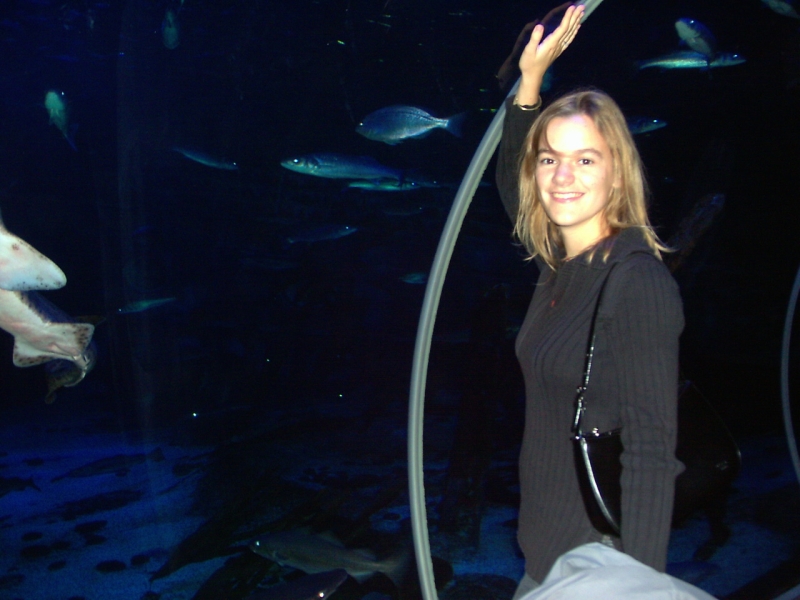 gal/Disneyland_Resort_Paris/sealife/PIC02127.JPG