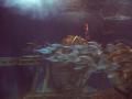 gal/Disneyland_Resort_Paris/sealife/_thb_101_0046.JPG