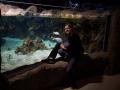gal/Disneyland_Resort_Paris/sealife/_thb_101_0057.JPG