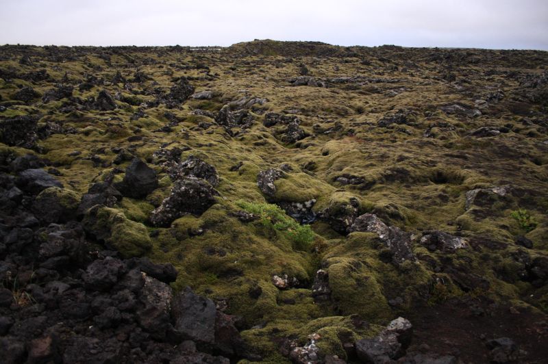 gal/Iceland/Blue_Lagoon/Iceland_Blue_Lagoon61.jpg