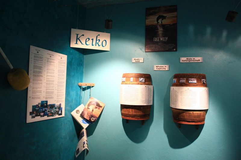 gal/Iceland/Husavik/Husavik_Whale_Museum/Iceland_Husavik_whale_museum26.jpg