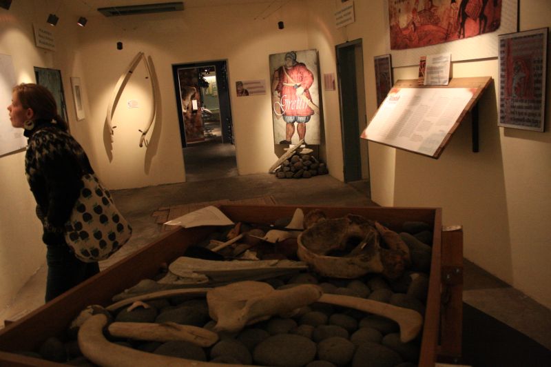 gal/Iceland/Husavik/Husavik_Whale_Museum/Iceland_Husavik_whale_museum27.jpg