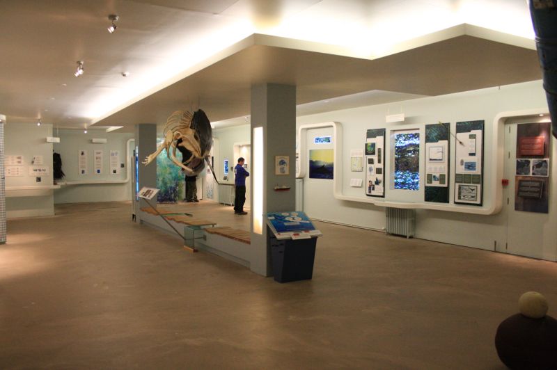 gal/Iceland/Husavik/Husavik_Whale_Museum/Iceland_Husavik_whale_museum44.jpg