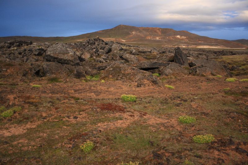 gal/Iceland/Krafla_lava_field/Iceland_Krafla_lava_field013.jpg