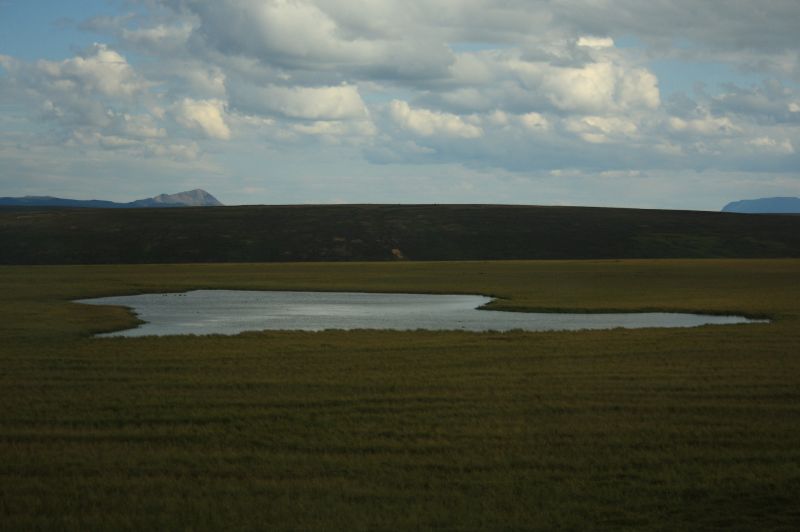 gal/Iceland/Myvatn/Iceland_Myvatn07.JPG
