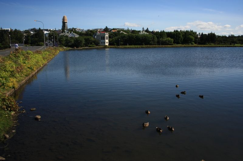 gal/Iceland/Reykjavik/Tjornin/Iceland_Reykjavik_Tjornin04.jpg