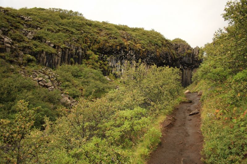 gal/Iceland/Svartifoss/Iceland_Svartifoss18.jpg