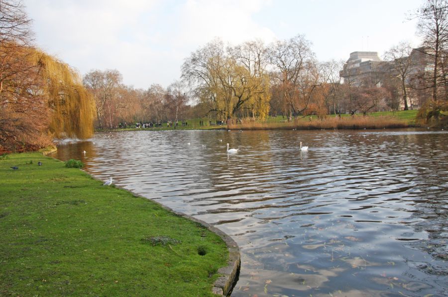 gal/Londres/Buckingham_Palace/IMG_6293.jpg