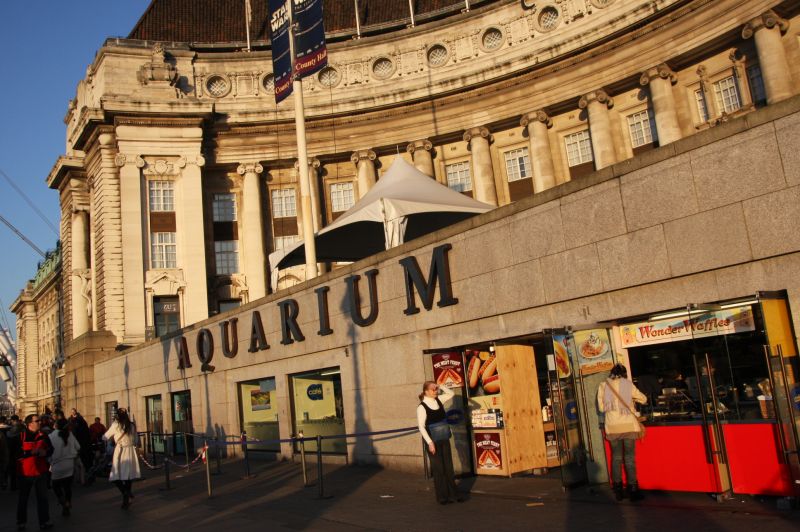 gal/Londres/London_Aquarium/London_Aquarium003.jpg