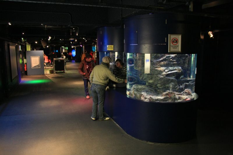 gal/Londres/London_Aquarium/London_Aquarium125.jpg