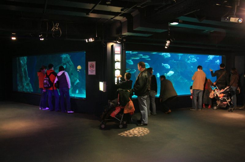 gal/Londres/London_Aquarium/London_Aquarium149.jpg