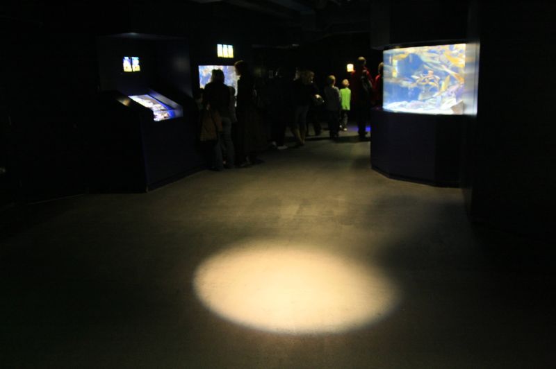 gal/Londres/London_Aquarium/London_Aquarium184.jpg