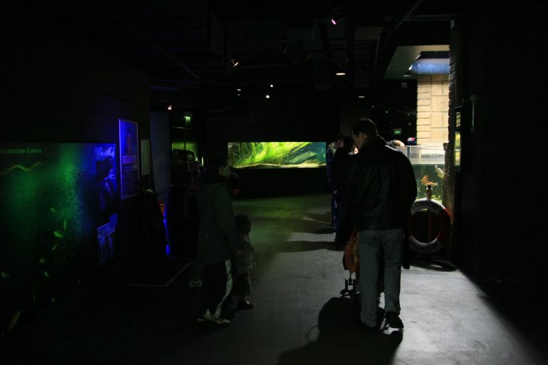 gal/Londres/London_Aquarium/London_Aquarium73.jpg