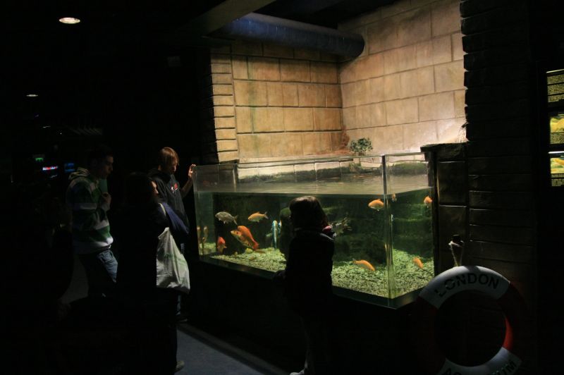 gal/Londres/London_Aquarium/London_Aquarium74.jpg