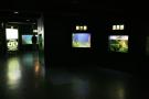 gal/Londres/London_Aquarium/_thb_London_Aquarium276.jpg