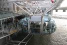 gal/Londres/London_Eye/_thb_London_Eye14.jpg