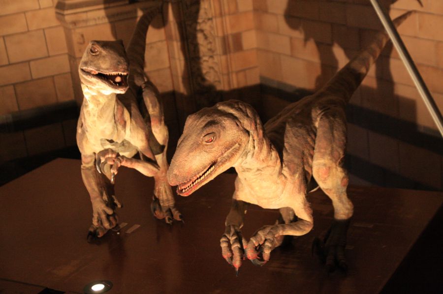 gal/Londres/Natural_History_Museum/Dinosaurs/London_Natural_History_Museum125.jpg