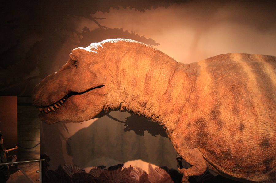 gal/Londres/Natural_History_Museum/Dinosaurs/London_Natural_History_Museum128.jpg