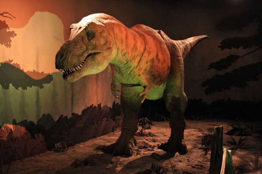 gal/Londres/Natural_History_Museum/Dinosaurs/London_Natural_History_Museum130.jpg