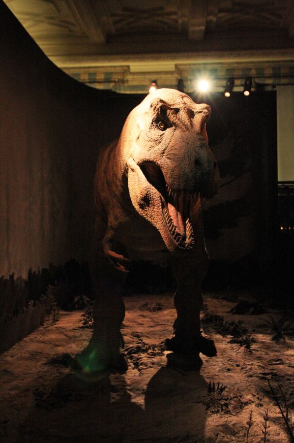gal/Londres/Natural_History_Museum/Dinosaurs/London_Natural_History_Museum134.jpg