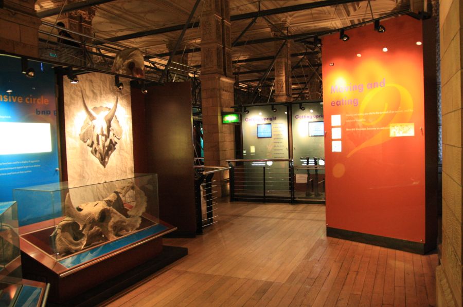 gal/Londres/Natural_History_Museum/Dinosaurs/London_Natural_History_Museum149.jpg