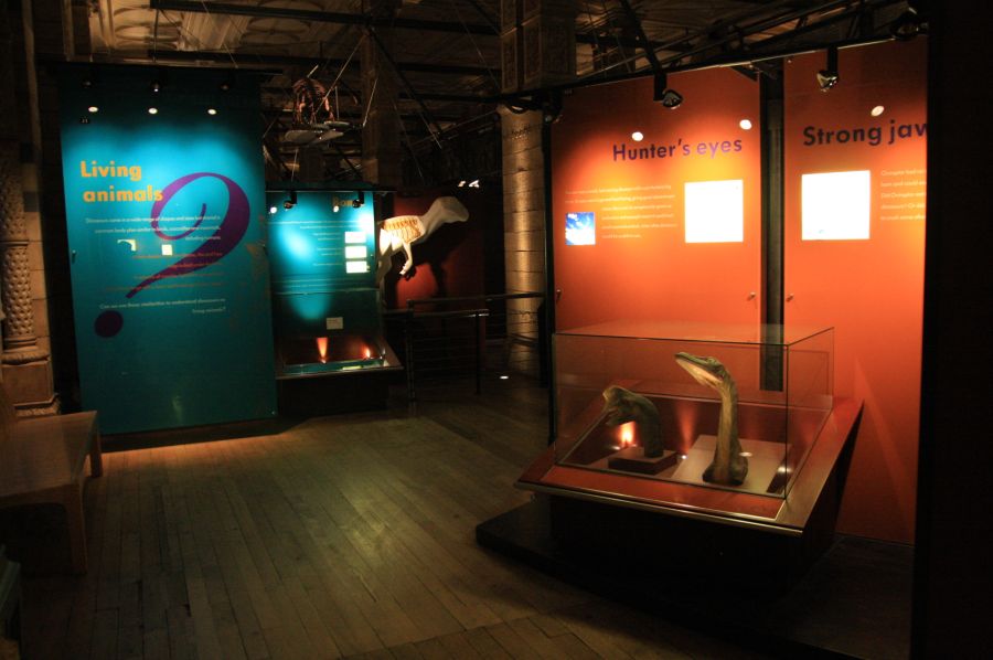 gal/Londres/Natural_History_Museum/Dinosaurs/London_Natural_History_Museum154.jpg