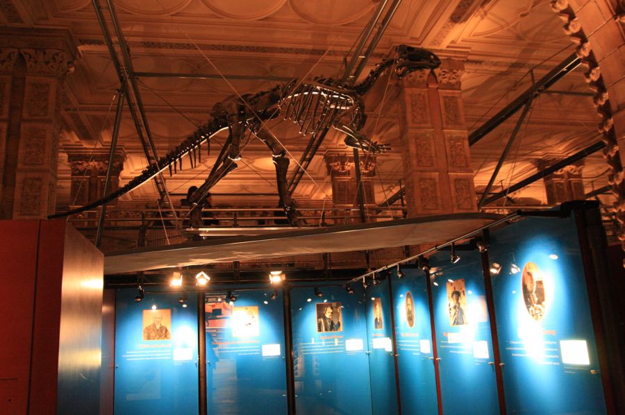 gal/Londres/Natural_History_Museum/Dinosaurs/London_Natural_History_Museum168.jpg