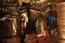 gal/Londres/Natural_History_Museum/Dinosaurs/_thb_London_Natural_History_Museum099.jpg