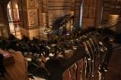 gal/Londres/Natural_History_Museum/Dinosaurs/_thb_London_Natural_History_Museum105.jpg