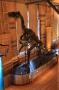 gal/Londres/Natural_History_Museum/Dinosaurs/_thb_London_Natural_History_Museum111.jpg