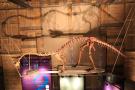 gal/Londres/Natural_History_Museum/Dinosaurs/_thb_London_Natural_History_Museum113.jpg