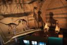 gal/Londres/Natural_History_Museum/Dinosaurs/_thb_London_Natural_History_Museum121.jpg