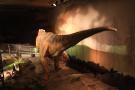 gal/Londres/Natural_History_Museum/Dinosaurs/_thb_London_Natural_History_Museum127.jpg