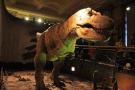 gal/Londres/Natural_History_Museum/Dinosaurs/_thb_London_Natural_History_Museum131.jpg