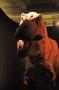 gal/Londres/Natural_History_Museum/Dinosaurs/_thb_London_Natural_History_Museum135.jpg