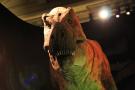 gal/Londres/Natural_History_Museum/Dinosaurs/_thb_London_Natural_History_Museum137.jpg