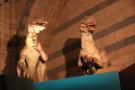 gal/Londres/Natural_History_Museum/Dinosaurs/_thb_London_Natural_History_Museum138.jpg
