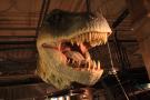 gal/Londres/Natural_History_Museum/Dinosaurs/_thb_London_Natural_History_Museum145.jpg