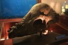 gal/Londres/Natural_History_Museum/Dinosaurs/_thb_London_Natural_History_Museum146.jpg
